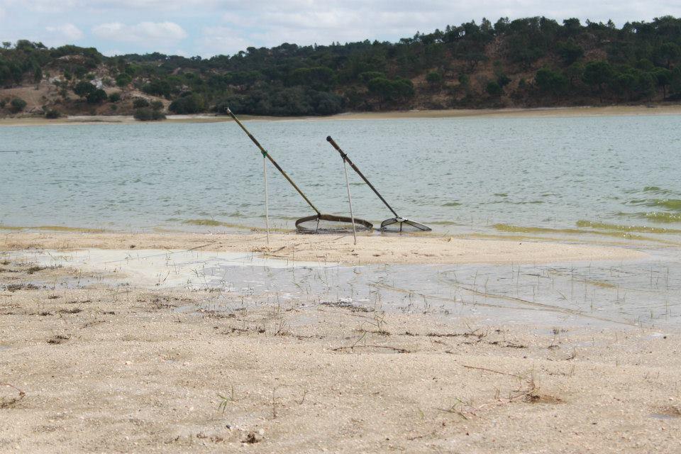 Montargil 2013-HAI ROMANIA!!! - 9359515674314699926041048248765n.jpg